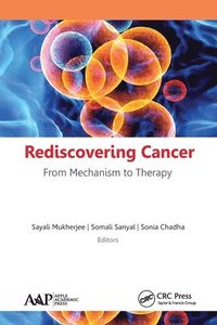 bokomslag Rediscovering Cancer: From Mechanism to Therapy