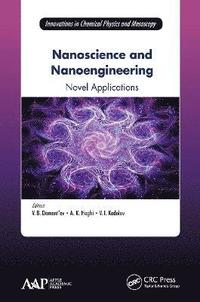 bokomslag Nanoscience and Nanoengineering