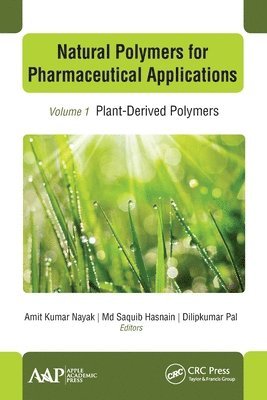 bokomslag Natural Polymers for Pharmaceutical Applications