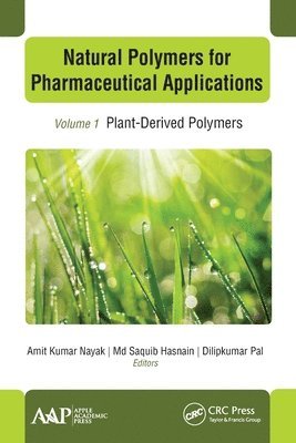 Amit Kumar Nayak, Md Saquib Hasnain, Dilipkumar Pal, Saquib Hasnain - Natural Polymers for Pharmaceutical Applications, Häftad