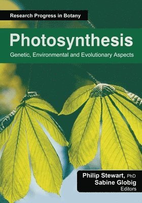 bokomslag Photosynthesis