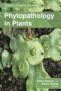 bokomslag Phytopathology in Plants