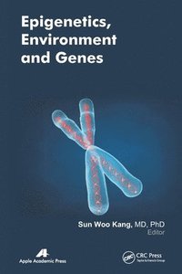 bokomslag Epigenetics, Environment, and Genes