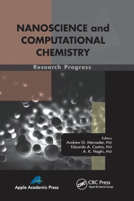 bokomslag Nanoscience and Computational Chemistry