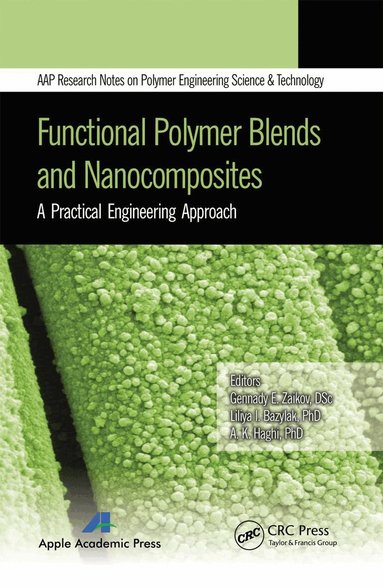 Gennady E. Zaikov, Liliya I. Bazylyak, A. K. Haghi - Functional Polymer Blends and Nanocomposites, Häftad