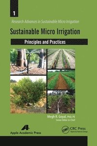 bokomslag Sustainable Micro Irrigation