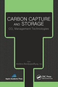 bokomslag Carbon Capture and Storage