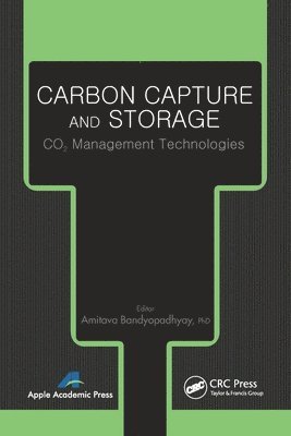 bokomslag Carbon Capture and Storage