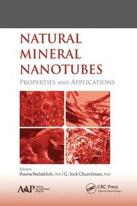 bokomslag Natural Mineral Nanotubes