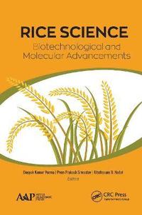 bokomslag Rice Science: Biotechnological and Molecular Advancements