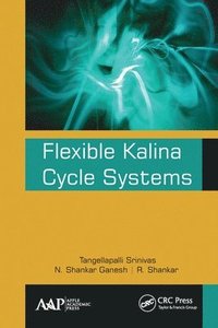 bokomslag Flexible Kalina Cycle Systems