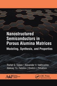 bokomslag Nanostructured Semiconductors in Porous Alumina Matrices