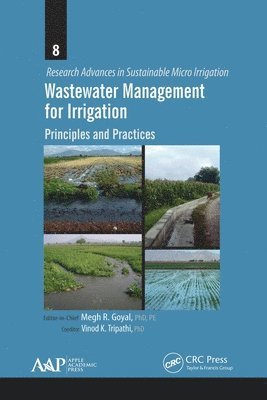 bokomslag Wastewater Management for Irrigation