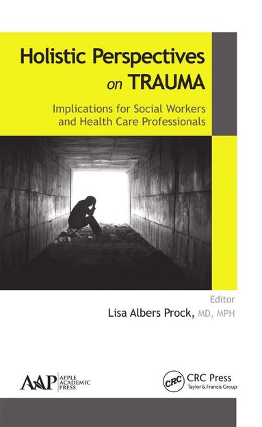 bokomslag Holistic Perspectives on Trauma