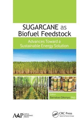 bokomslag Sugarcane as Biofuel Feedstock