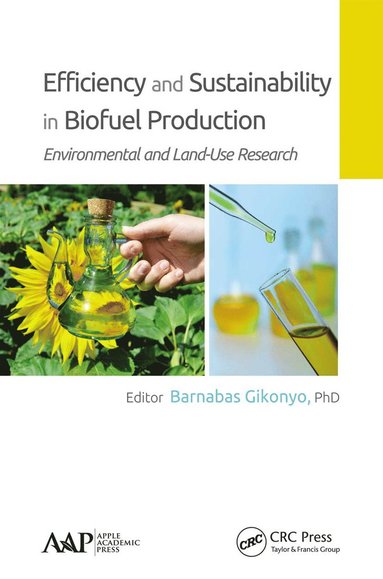 bokomslag Efficiency and Sustainability in Biofuel Production