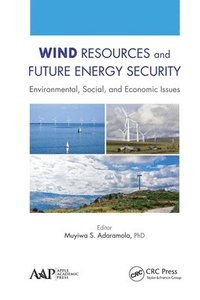 bokomslag Wind Resources and Future Energy Security