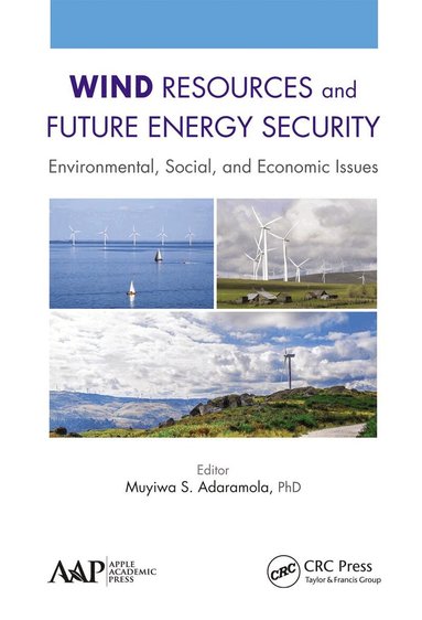 Muyiwa Adaramola - Wind Resources and Future Energy Security, Häftad