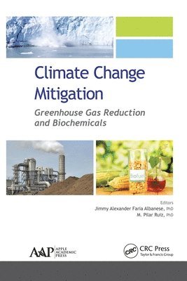 bokomslag Climate Change Mitigation