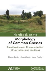 bokomslag Handbook on the Morphology of Common Grasses