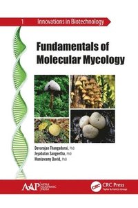 bokomslag Fundamentals of Molecular Mycology