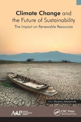 bokomslag Climate Change and the Future of Sustainability