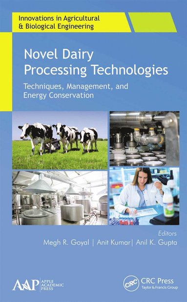 bokomslag Novel Dairy Processing Technologies