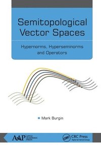 bokomslag Semitopological Vector Spaces