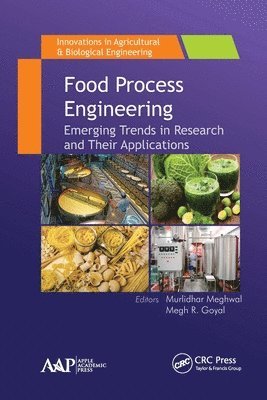 bokomslag Food Process Engineering