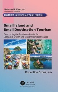 bokomslag Small Island and Small Destination Tourism