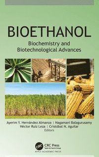 bokomslag Bioethanol