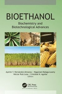 bokomslag Bioethanol