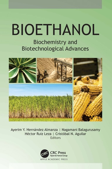 Ayerim Y. Hernández Almanza, Nagamani Balagurusamy, Héctor Ruiz Leza, Cristóbal N. Aguilar - Bioethanol, Häftad
