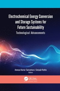 bokomslag Electrochemical Energy Conversion and Storage Systems for Future Sustainability