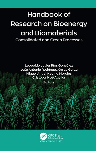 Leopoldo Javier Ríos González, Jośe Antonio Rodríguez-De La Garza, Miguel Ángel Medina Morales, Cristóbal Noé Aguilar - Handbook of Research on Bioenergy and Biomaterials, Häftad