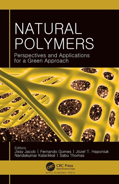 Jissy Jacob, Fernando Gomes, Józef T. Haponiuk, Nandakumar Kalarikkal, Sabu Thomas - Natural Polymers, Häftad