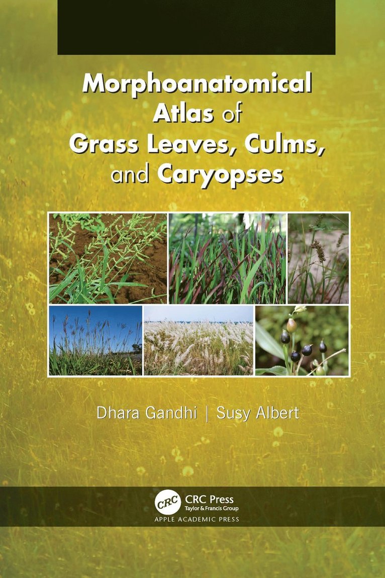 Dhara Gandhi, Susy Albert - Morphoanatomical Atlas of Grass Leaves, Culms, and Caryopses, Häftad