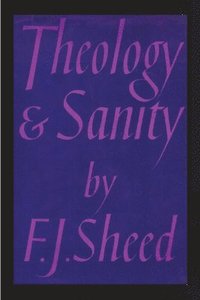 bokomslag Theology and Sanity