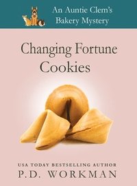 bokomslag Changing Fortune Cookies