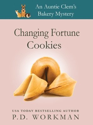 bokomslag Changing Fortune Cookies