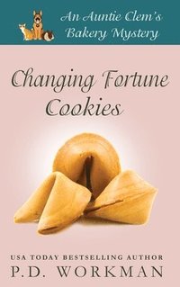 bokomslag Changing Fortune Cookies