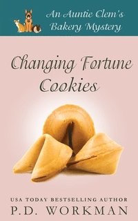 bokomslag Changing Fortune Cookies