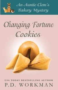 bokomslag Changing Fortune Cookies