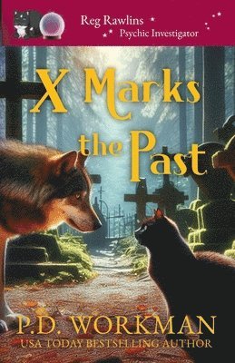bokomslag X Marks the Past