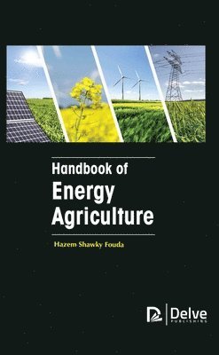 bokomslag Handbook Of Energy Agriculture