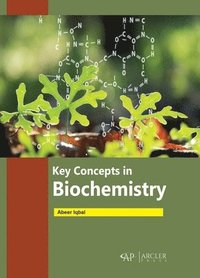 bokomslag Key Concepts in Biochemistry