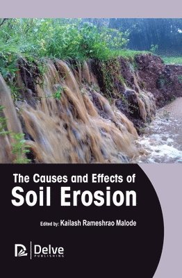 bokomslag Causes and Effects of Soil Erosion