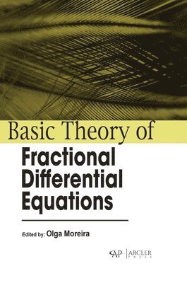 bokomslag Basic Theory of Fractional Differential Equations