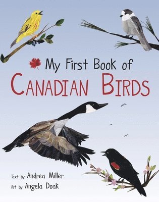 Andrea Miller - My First Book of Canadian Birds, Häftad