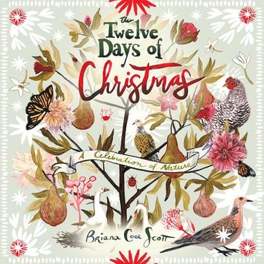 bokomslag The Twelve Days of Christmas